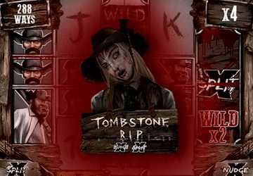 Playtech - игровой автомат онлайн от Various с RTP 95.5%